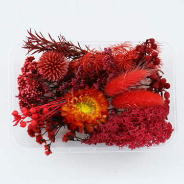 Natural Mixed Material Pack: Dried Flowers and Plants for DIY Resin Crafts
