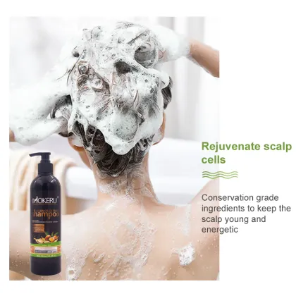 Balea Sulfate-Free Natural Argan Oil Shampoo and Conditioner - Manufacturer Wholesaler 500ml Bulk Order