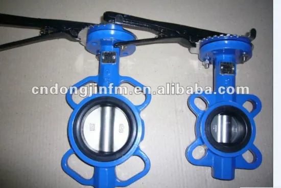 Lug butterfly valve