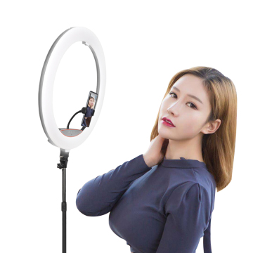 Professional Ripoint 22-inch LED Fill Circle Selfie Light with Phone Holder: Your Ultimate Photography Studio Accessory