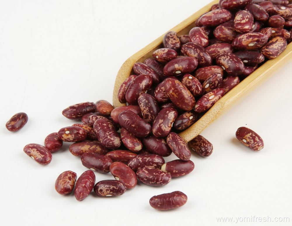 Kidney Beans Seeds