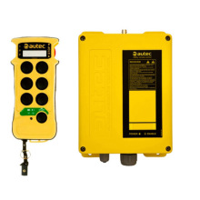 Radio Remote Control for Crane