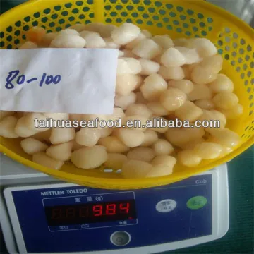 seafrozen high quality sea scallops