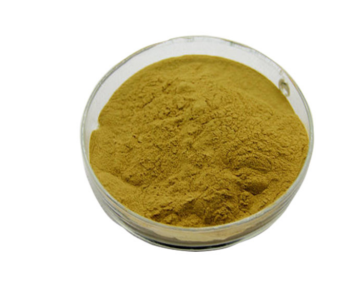 Camellia Sinensis Extract Png