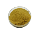 Best function cnidium monnieri extract powder fructus cnidii