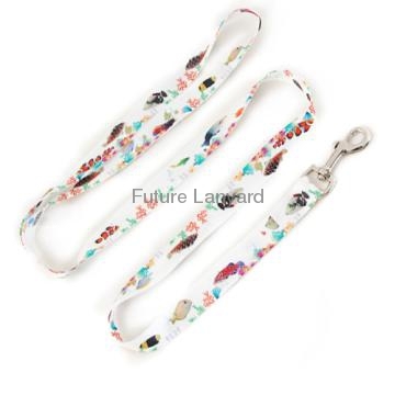 Nice promotional Appearance Fashion Polyester Dog Leash