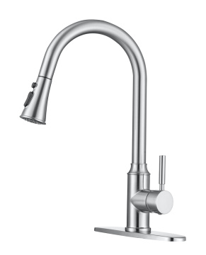 Brushed Kitchen Faucet With Pull Out Sprayer