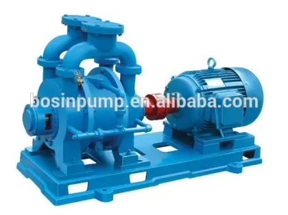 SZ vacuum pump factory in china