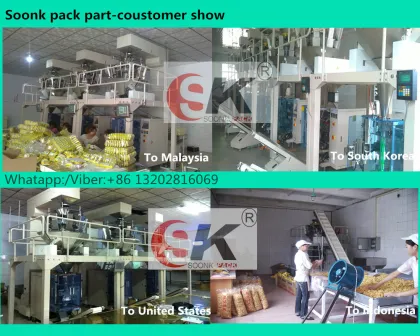 watermelon seeds bag packing machine SK-K220DT