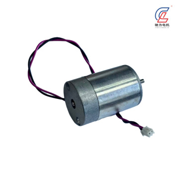 Thành phần động cơ DC chải bạc có dây sẵn