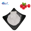 supply Freeze dried Aloe vera extract powder