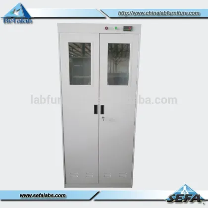 Laboratory Equipments Gas Cylinder Cabinet Lab Supplies