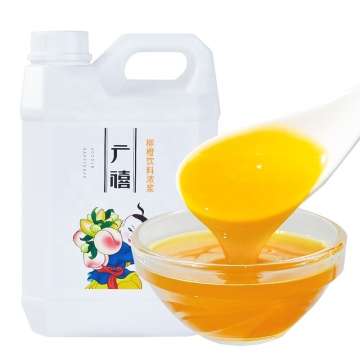 2023 Top New Arrivals: 2.5kg Concentrated Orange Juice in Bulk