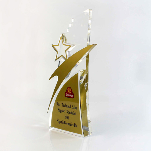 cheap custom online star business trophies