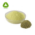 مستخلص Sophora Japonica 95٪ Rutin nf11 Powder
