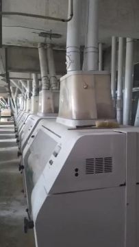 10TPD flour mill plant /spice mill machine /chilli powder machine