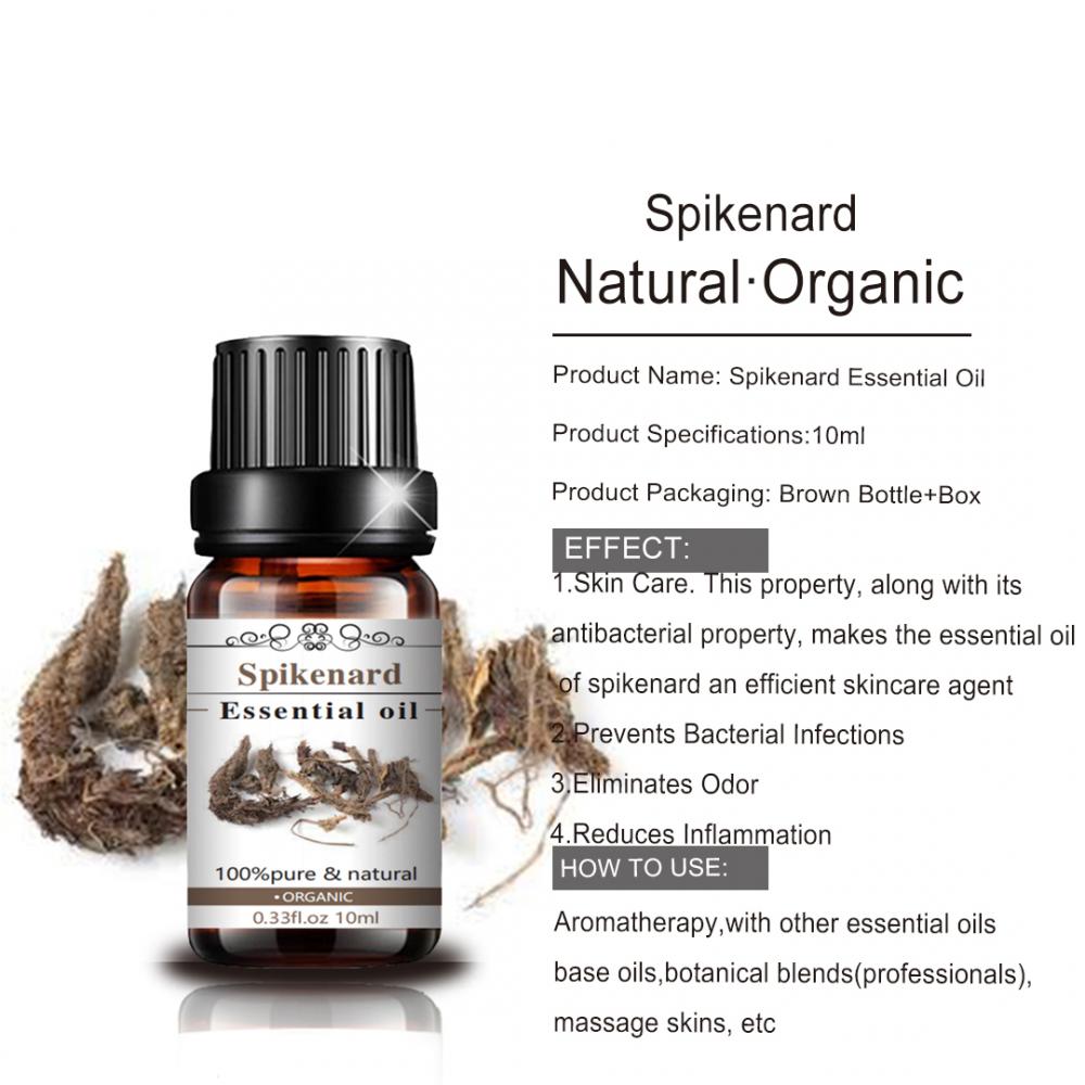 Wholesale 100% Pure & Natural Spikenard Essential Oil for Healthcare