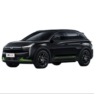 2024 NETA U 400 Challenge Version Electric Car - Wholesale Opportunities