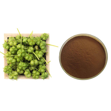 Male Healthcare Tribulus Terrestris Extract Powder Saponins