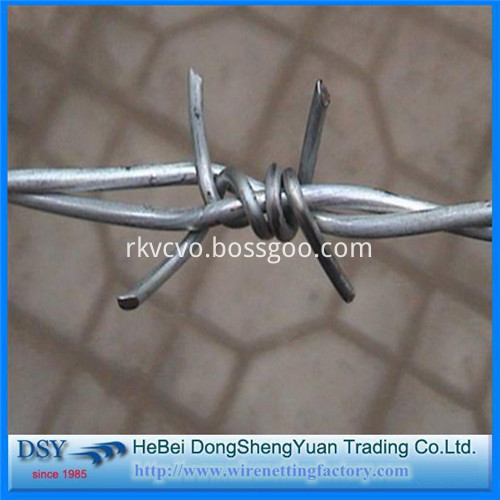 Barbed Iron Wire