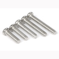 Stainless steel Slotted Pan Head Screws DIN85