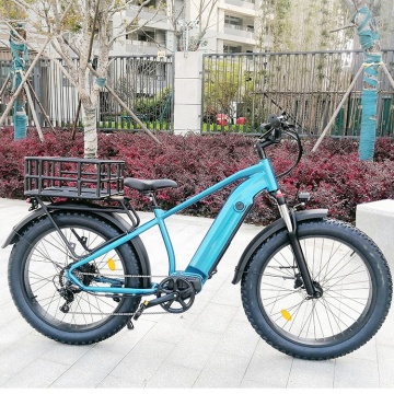 Aanpasbare hogesnelheid 45 km/u elektrische vetfiets: de ultieme 750W achterste hubmotor all-terrain e-bike voor volwassenen