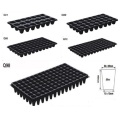 Plastic Rice Seed Growing Tray 200cell