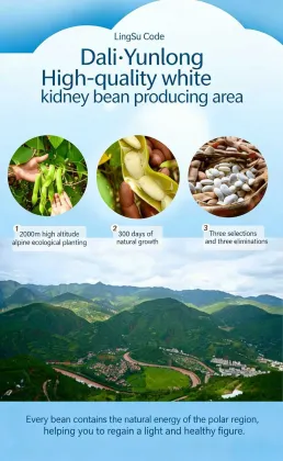 White kidney bean Capsules