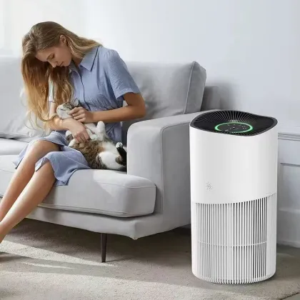 Multifunctional air purifier Small air purifier