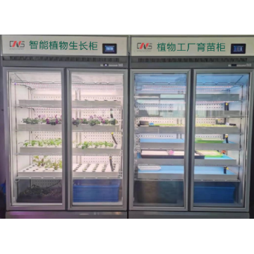 خزانة نمو الشتلات YD12GBY-B01-AK