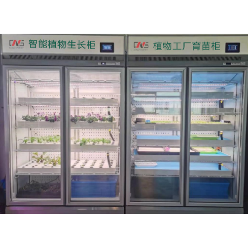 Шкаф для выращивания рассады YD12GBY-B01-AK