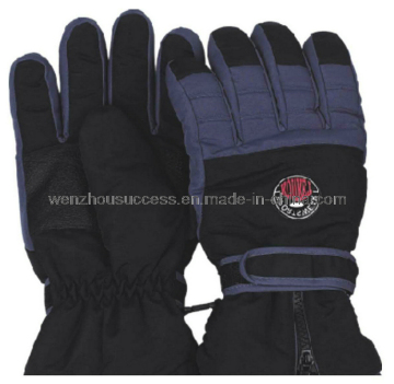 Ski Gloves (SH12-2G035)
