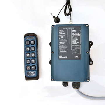 Radio telecomando wireless Crane per gru a ponte