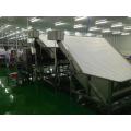 Automatic Shrimp Cleaning And Grading Machine