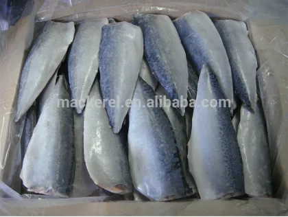 Chinese Fish Frozen Fish Pacific Mackerel Fillet Price