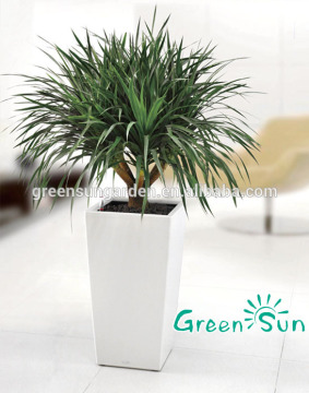 small plastic plant pot wholesale
