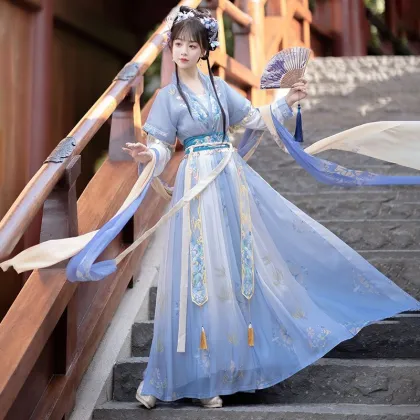 Chinese Traditional Hanfu: Female Tang Skirt with Embroidery