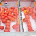 Máquina de lavar industrial de frutas e tomates