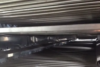 Bamboo shoots ribbon drier