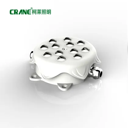 RGB LED Pixel Lights - 360 Degree Pixel String Lighting (2W-6W)