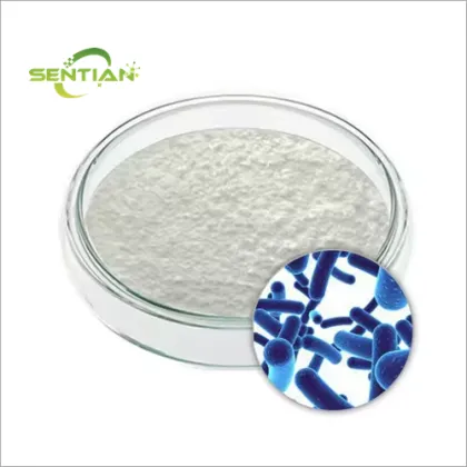 Lactobacillus Rhamnosus Probiotics Powder