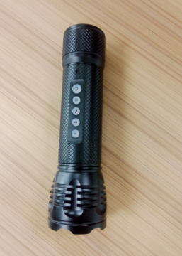 Bluetooth FM/SD/TF Card Support Digital Speaker