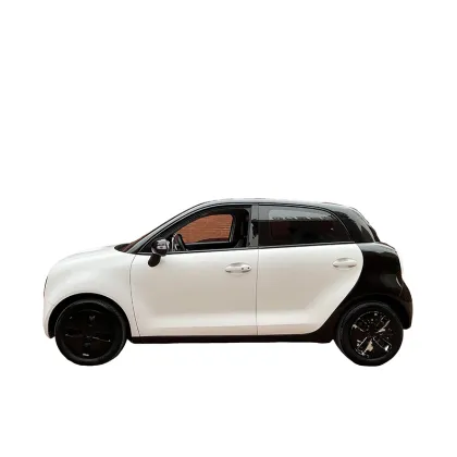 ORA Black Cat 301 Edition All-electric vehicle