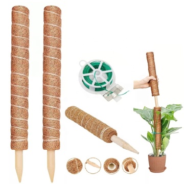Stackable Climbing Plants Support Stick - Coir Indoor Plant Holder (12 inch, 16 inch, 19 inch)
