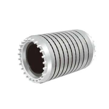 CHN Stator And Rotor For Electric Motor