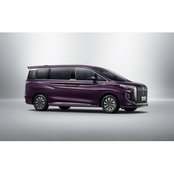 Hongqi HQ9 multi purpose car