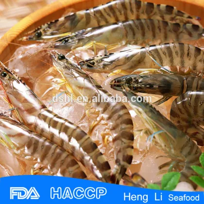 HL002 best quality sushi food salad shrimp salad