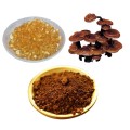 Anti-inflammatory Ling zhi extract