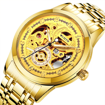 Golden Watch Men's Top Brand Luxury Luminous Mechanical Watch