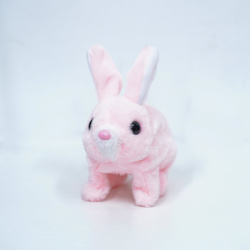 rabbit